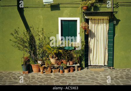 Grün bemalte Fassade eines Hauses auf der Insel Burano in der Nähe von Venedig, Italien Stockfoto