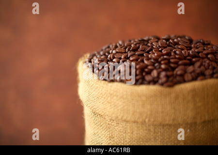 Kaffee Bohnen Stockfoto