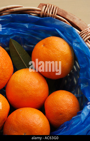 Einen Korb mit Orangen Stockfoto