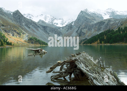 Obere Multa See. Katun Zustand zu bewahren. Altai. Sibirien. Russland Stockfoto