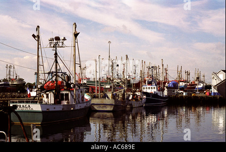 Shippagan New Brunswick Kanada off Shore Fischereiflotte im Hafen Stockfoto