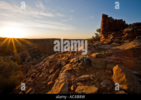 Mule Canyon Türme indianischen Ruinen auf Cedar Mesa Utah Vereinigte Staaten von Amerika Stockfoto