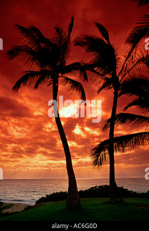 Palme, Palmen, Sonnenuntergang, Ulua Strand, Stadt von Wailea, Maui, Insel Maui, Hawaii, Vereinigte Staaten Stockfoto