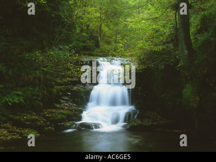 Watersmeet Exmoor Nationalpark Devon Stockfoto