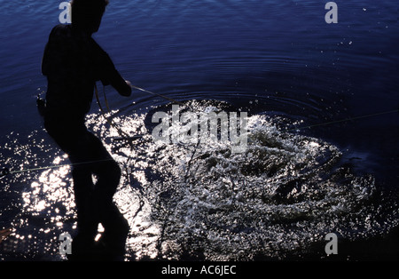 Lizenzierte Alligator Catcher in Florida Alligatoren befinden sich in der Öffentlichkeit ganz über dem Zustand Stockfoto