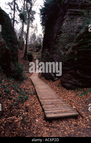 Holzweg im Böhmischen Paradies Cesky Raj Naturschutzgebiet Tschechisch Stockfoto