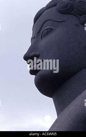 STATUE VON GOMATESHWARA IN SHRAVANABELGOLA KARNATAKA Stockfoto