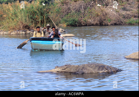 FOTOGRAFIEREN EINE WÄRMEZONE KROKODIL-KARNATAKA Stockfoto