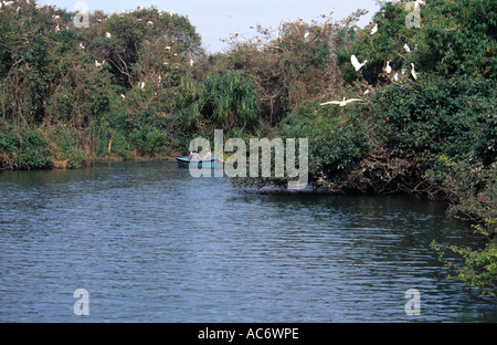 LANDSCHAFT IN KARNATAKA Stockfoto