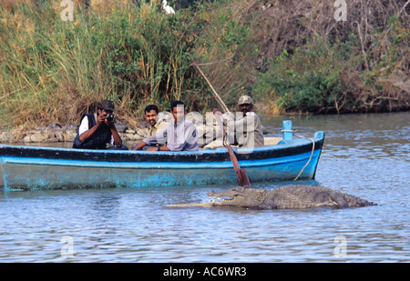 FOTOGRAFIEREN EINE WÄRMEZONE KROKODIL-KARNATAKA Stockfoto