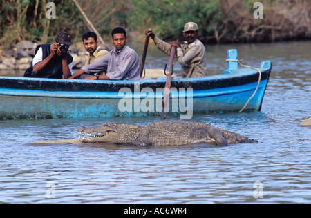 FOTOGRAFIEREN EINE WÄRMEZONE KROKODIL-KARNATAKA Stockfoto