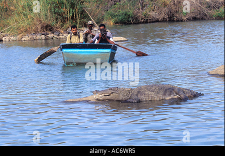 FOTOGRAFIEREN EINE WÄRMEZONE KROKODIL-KARNATAKA Stockfoto