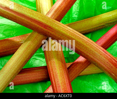 RHABARBER-STICKS / STIELE Stockfoto