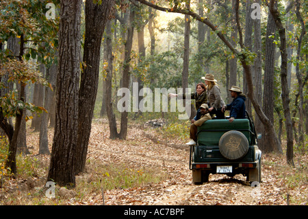 MORGEN-JEEP FAHREN FÜR WILDBEOBACHTUNGEN, KANHA, MADHYA PRADESH Stockfoto