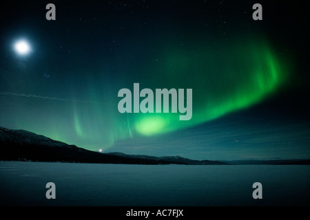 Arktische Landschaft mit Nordlicht am Himmel Stockfoto