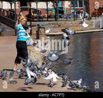 Frau füttern Tauben im Bereich Kai von Exeter, Devon, England, UK Stockfoto