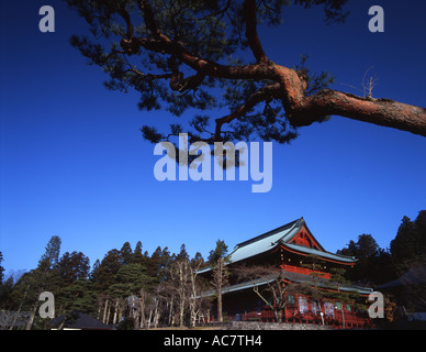 Rinno-Ji (Rinnoji), Nikko, Japan buddhistische Tempel der Tendai-Abschn. Sanbutsu-Do (Sanbutsudo) Nikko größte Halle Stockfoto