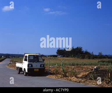 Kleine "K" LKW mit 660cc Motor abholen. Beliebt bei den örtlichen Bauern auf der Insel Okinawa Stockfoto