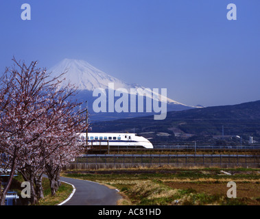 Mount Fuji, Cherry Blossom und Shinkansen Bullet Train. Stockfoto