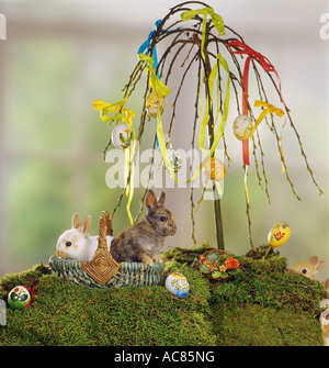 zwei Zwergkaninchen - im Korb mit Ostereiern Stockfoto