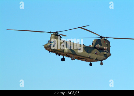 Schweren Boeing Chinook Helikopter Stockfoto
