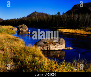 Fliegenfischen auf der Madison River im Yellowstone National Park in nordwestlichen Wyoming Dies ist eine klassische Fliegenfischen-stream Stockfoto