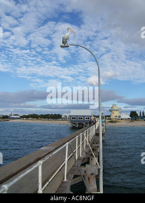 Busselton Jetty, Western Australia, Australia Stockfoto