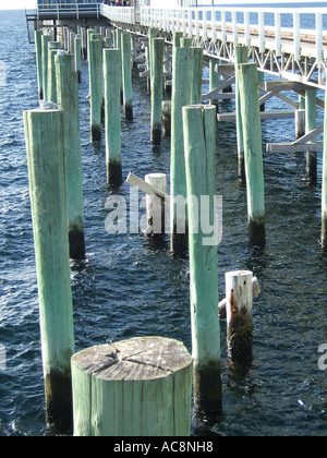 Busselton Jetty, Western Australia, Australia Stockfoto