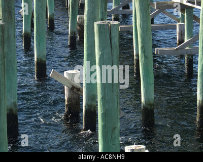 Busselton Jetty, Western Australia, Australia Stockfoto