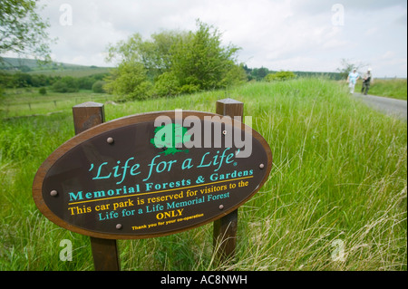 Ein Wald Gräberfeld bei Aktien Reservoir in den Wald von Bowland, Lancashire, UK Stockfoto