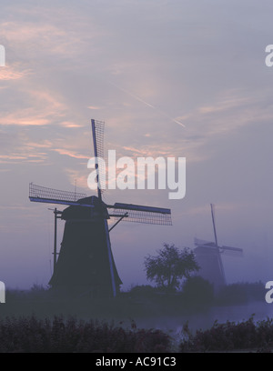 Windmühlen; Sonnenaufgang und Nebel bei Kinderdijk, Holland Stockfoto