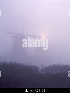 Windmühlen; Sonnenaufgang und Nebel bei Kinderdijk, Holland Stockfoto