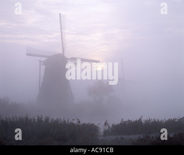 Windmühlen; Sonnenaufgang und Nebel bei Kinderdijk, Holland Stockfoto