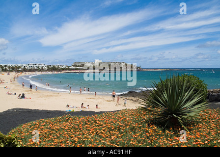 Dh Playa de las Cucharas COSTA TEGUISE LANZAROTE Menschen Sonnenbaden am Strand Blumen und Kakteen kanarischen Inseln sun Stockfoto