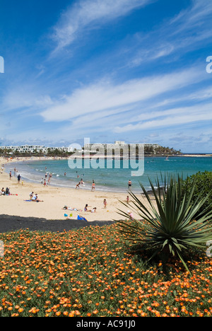 Dh Playa de las Cucharas COSTA TEGUISE LANZAROTE Menschen Sonnenbaden am Strand Blumen und Kakteen Kanarische Inseln Stockfoto