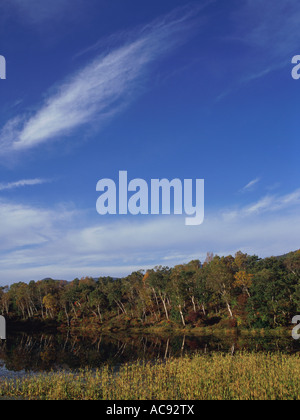 Maruike Teich Shiga Plateau Präfektur Nagano Japan Stockfoto