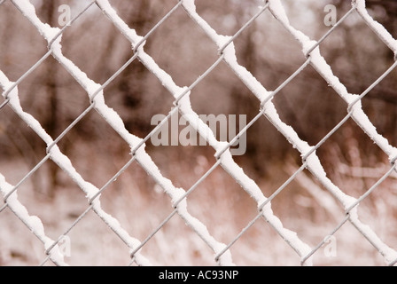 Schnee auf Maschendrahtzaun, Ann Arbor Michigan USA Stockfoto