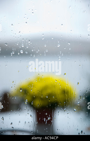 Regentropfen am Fenster Stockfoto