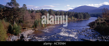 Fluss Dee in Invercauld Braemar Grampian Region Schottland Stockfoto