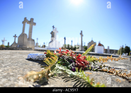 Grab auf einem mallorquinischen Friedhof, Spanien, Mallorca Stockfoto