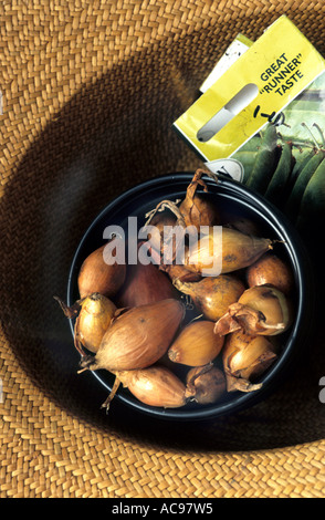Zwiebel legt Kunststoff [Blumentöpfe] Pakete Samen Hut Stockfoto