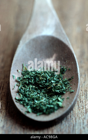 Garten-Kerbel, gemeinsame Kerbel (Anthriscus Cerefolium), Auswahl auf Löffel Stockfoto