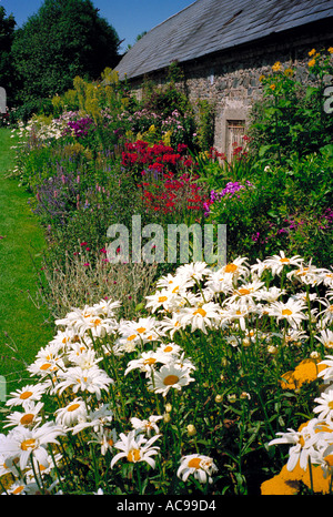 Krautige Grenze im Hochsommer blühen vor einem traditionellen Stein gebaut landwirtschaftliches Gebäude, Ardgillan Park North County Dublin, Stockfoto