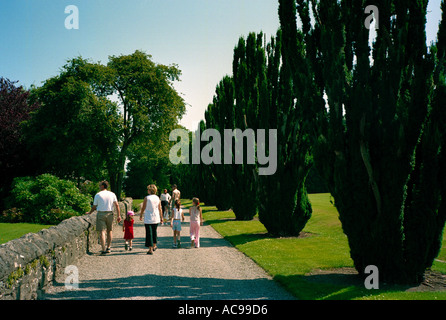 Eine feine Linie von irische Eibe Bäume säumen einen Spaziergang im Park des Herrenhauses Ardgillan, North County Dublin, Irland Stockfoto