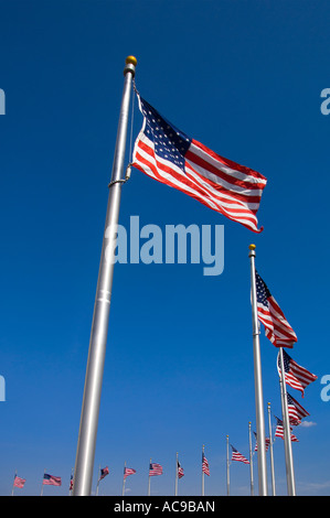 Amerikanische Flaggen nahe Washington Monument DC USA Stockfoto