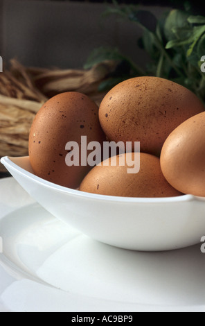 Braun gesprenkelten Eiern Stockfoto