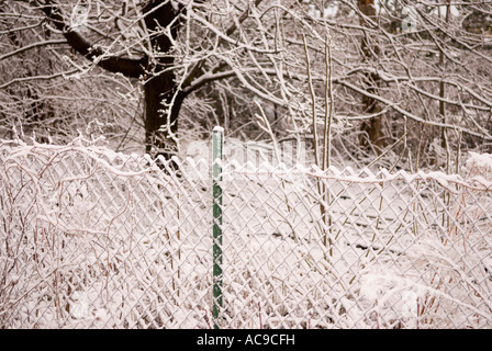 Schnee auf Maschendrahtzaun, Ann Arbor Michigan USA Stockfoto