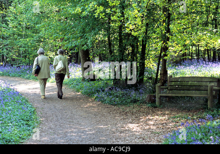 Zwei Wanderer Damen flanieren Stockfoto