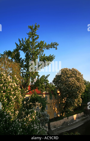 Üppiger Blick auf den Frühling über Čertovka von der Karlsbrücke, Prag. Stockfoto