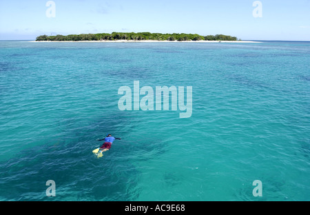 Tauchen auf Lady Musgrave Island-Queensland-Australien-Fotografie von Bruce Miller 6 2003 Stockfoto
